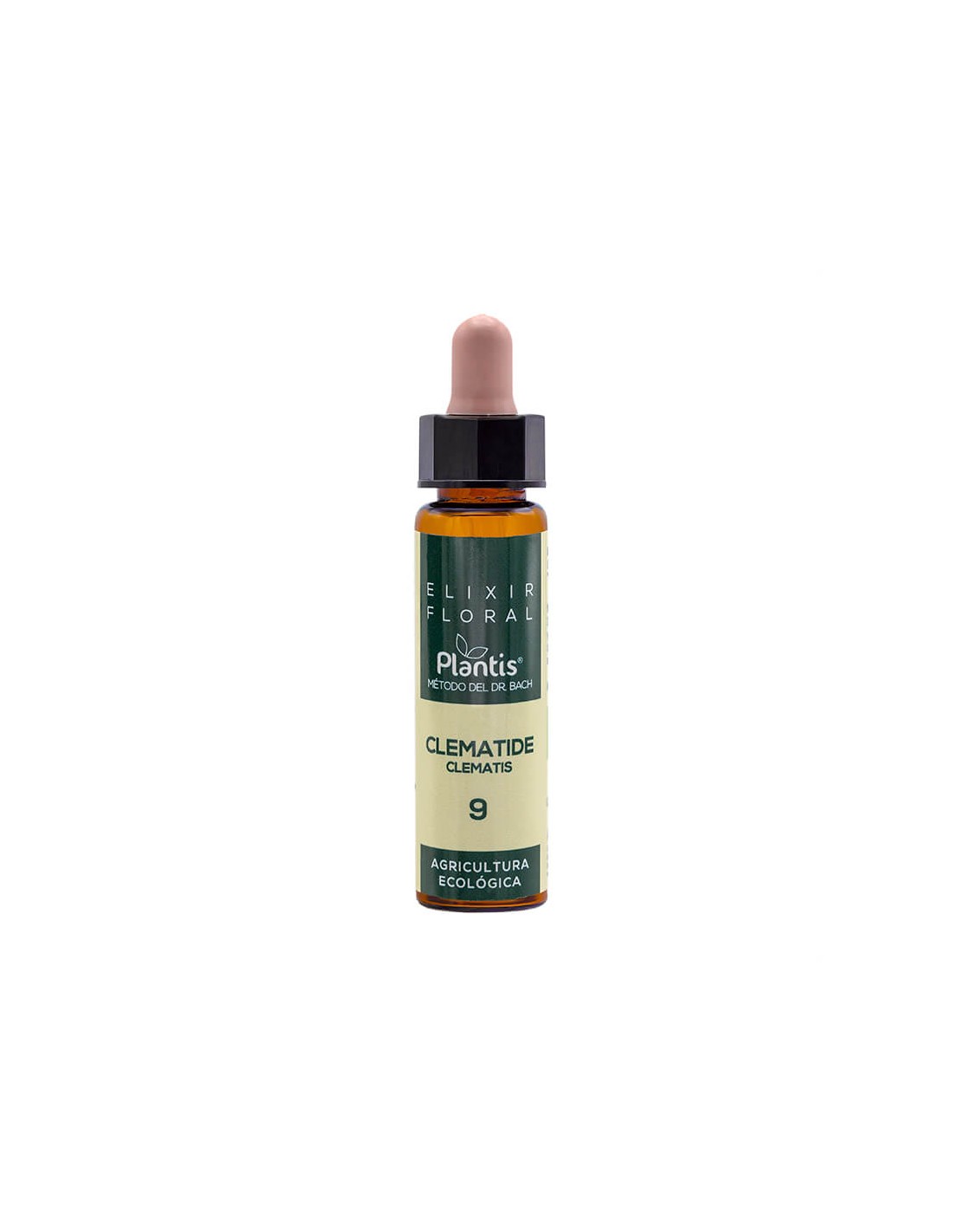 Clematis – Anti-Ablenkungs-Blumenelixier – Dr. Bach Tropfen, 10 ml