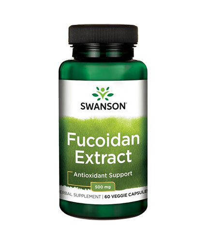 100 % reiner Fucoidan-Extrakt mit maximaler Stärke – 60 Kapseln