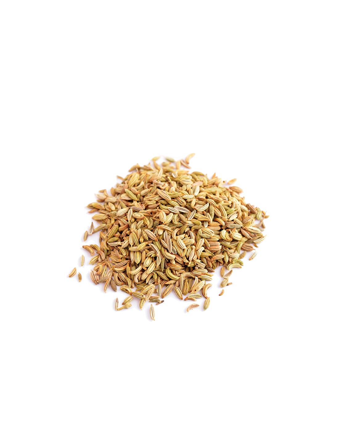 Dill, Samen - BIO, 100 g