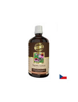 Immunität - Echinacea, 100 ml Tinktur