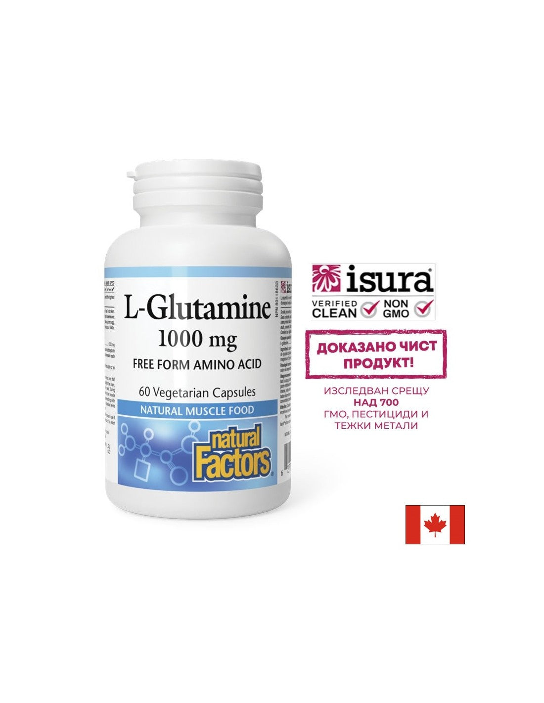 L-Glutamin 1000 mg – 60 Kapseln