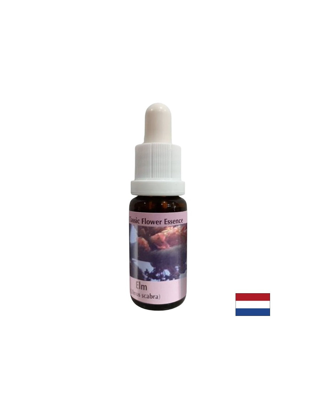 In schwierigen Situationen - Elm Essence Nr. 11, Tropfen 15 ml
