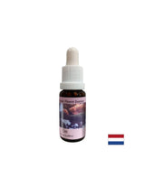 In schwierigen Situationen - Elm Essence Nr. 11, Tropfen 15 ml
