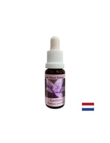 Gibt Selbstvertrauen – Enzian-Essenz Nr. 12, Tropfen 15 ml