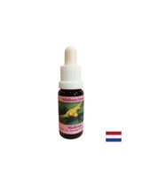 Stimuliert bewusste Veränderung – Essence White Mistletoe Nr. 12, Tropfen 15 ml