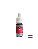 Verwandelt Egoismus in Liebe – Orchid Heart Essence Nr. 12, Tropfen 15 ml