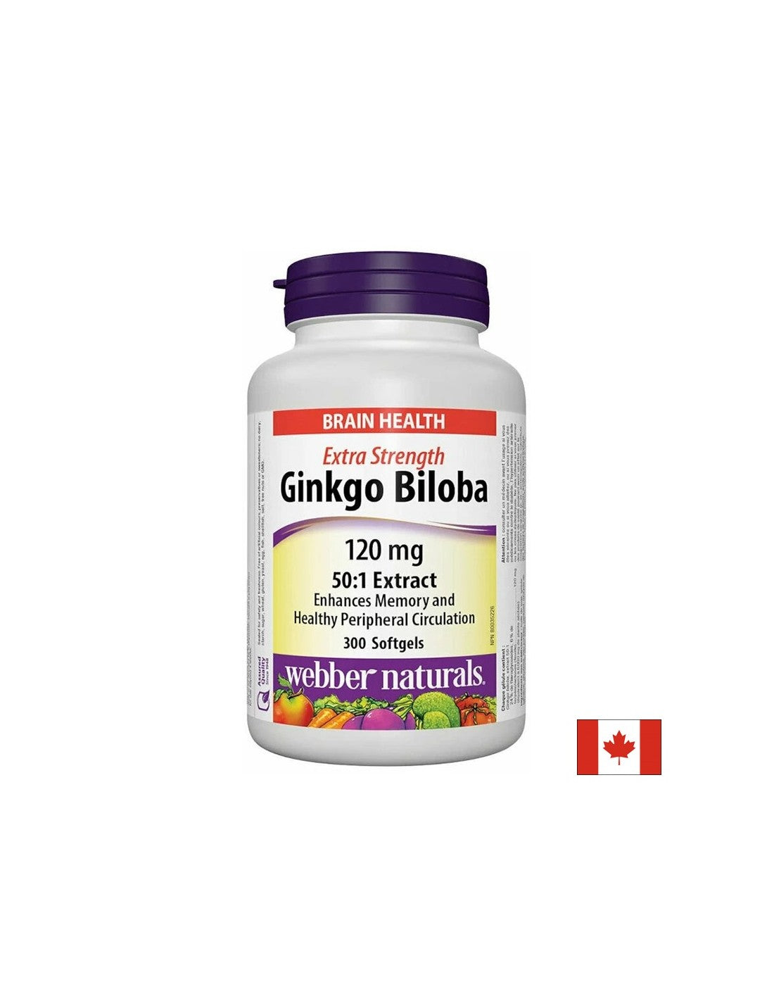 Ginko Biloba – Vitamine, Konzentration und Konzentration, Visokokonzentrat-Formel, 120 mg x 300 Kapseln