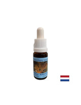 Unterstützt positive Transformation und Ausgeglichenheit – Essence Rutilated Quartz Nr. 13, Tropfen 15 ml