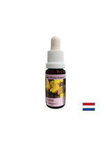 Für einen Neuanfang – Essence Preshtip Nr. 13, Tropfen 15 ml