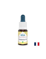 Erste Hilfe in Krisensituationen, Blütenessenzen, Bach-Methode-Tropfen, 15 ml