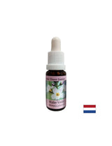 Fördert die Kommunikation – Swamp Iris Essence, Tropfen 15 ml