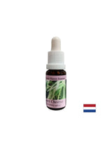 In Zeiten der Verzweiflung und Sackgasse – Sweet Chestnut Essence, Tropfen 15 ml