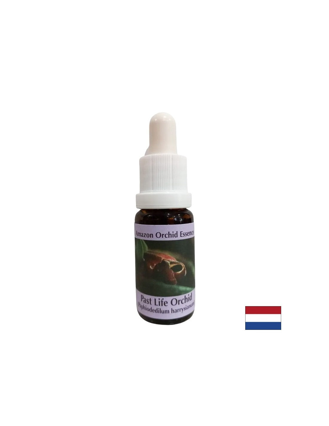 Bewusstsein für die Gegenwart durch die Lehren aus der Vergangenheit – Past Life Orchid Essence Nr. 16, Tropfen 15 ml