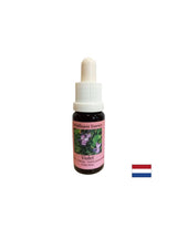 Überwindet das Unbehagen der Ablehnung und Einsamkeit – Essence Fiber Violet Nr. 18, Tropfen 15 ml
