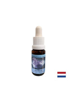 Spirituelles Wachstum und Intuition – Amethyst Essenz Nr. 2, Tropfen 15 ml