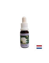 Für spirituelles Bewusstsein – Victoria Regia Essence Nr. 20, 15 ml Tropfen