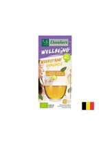Immuntee mit Ingwer und Limette BIO, 20 Filterbeutel