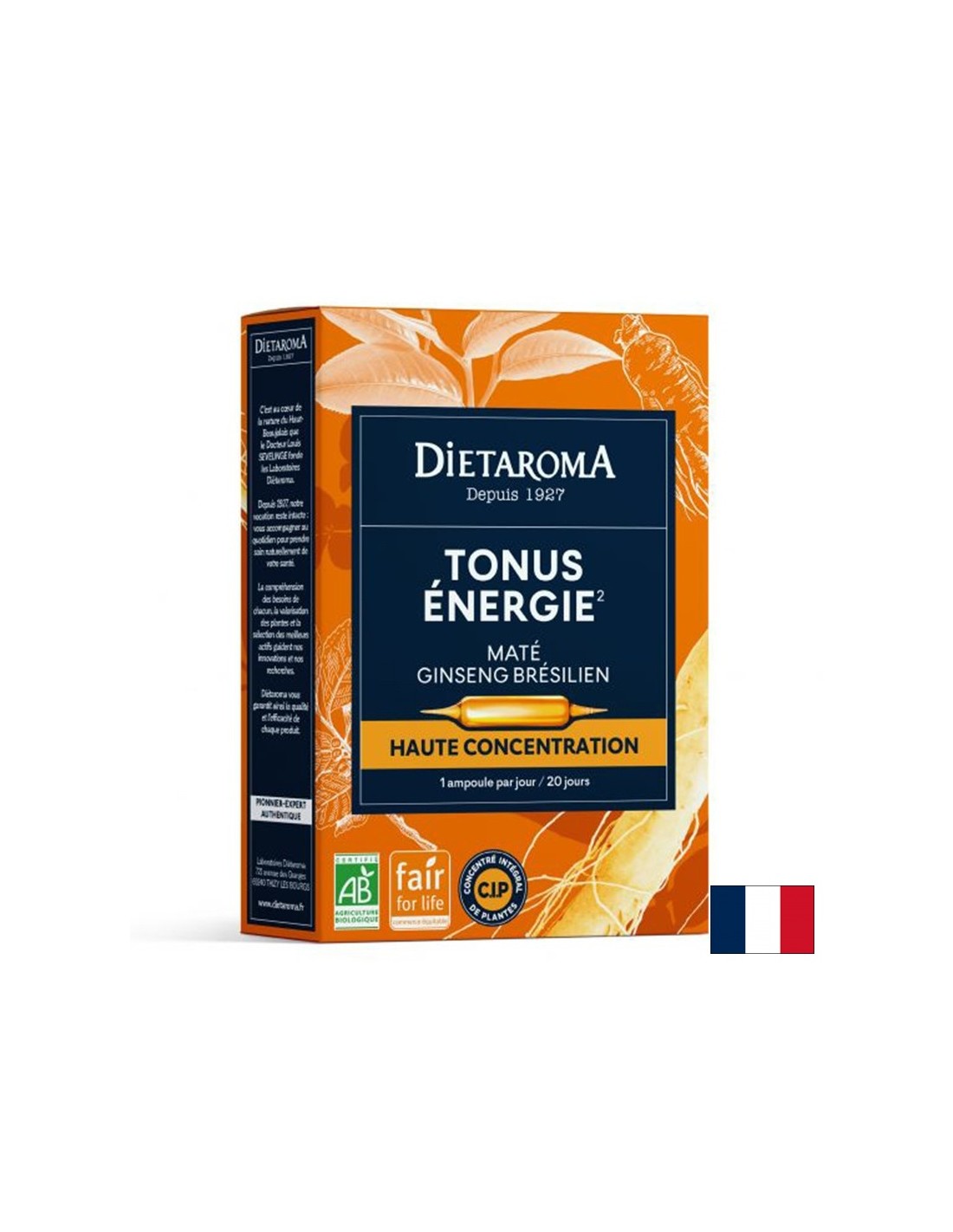 Ton und Energie (mit Yerba Mate, brasilianischem Ginseng), 20 Trinkampullen
