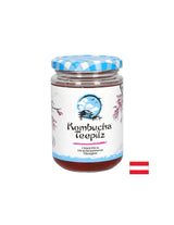 Stärkt das Immunsystem – Kombucha-Teeschwamm mit fermentiertem Früchtetee, 200 ml