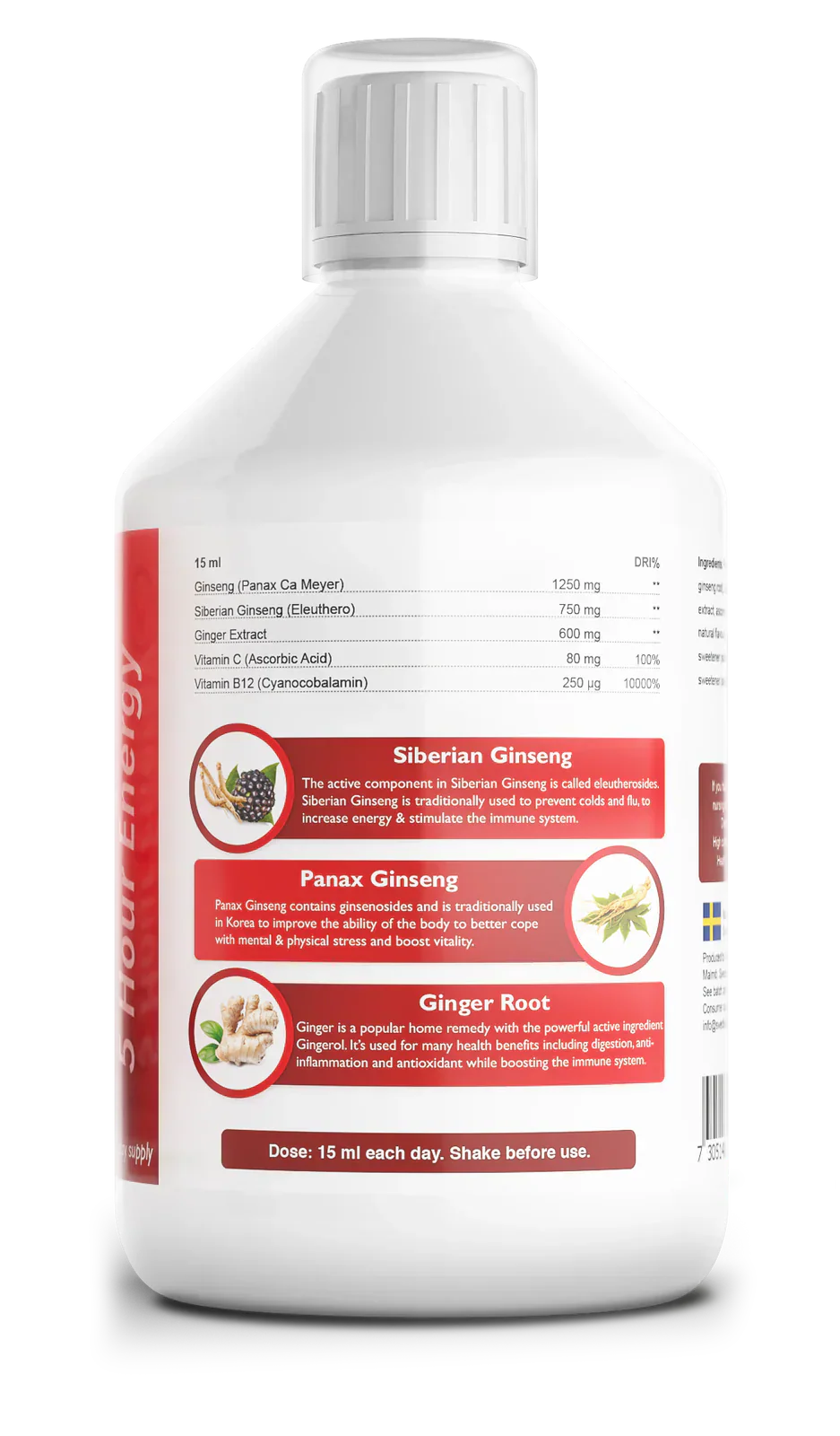 Ginseng 2000 mg – mit Ingwerextrakt – 500 ml