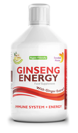 Ginseng 2000 mg – mit Ingwerextrakt – 500 ml
