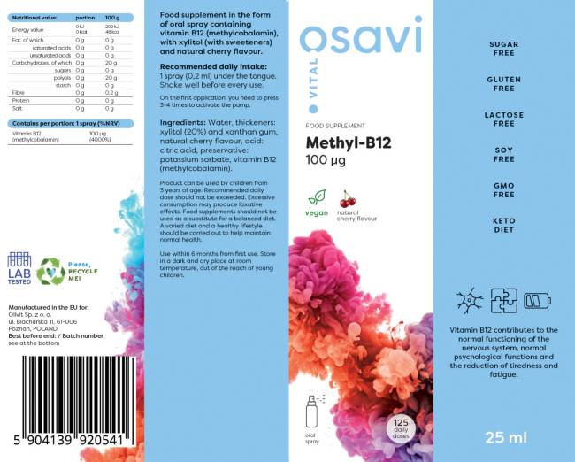 Methyl B -12 orales Spray / 100 MCG pro Spray - 25 ml