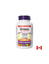Immunität – Echinacea (dreifach standardisierter Extrakt) 2100 mg, 90 Softgel-Kapseln