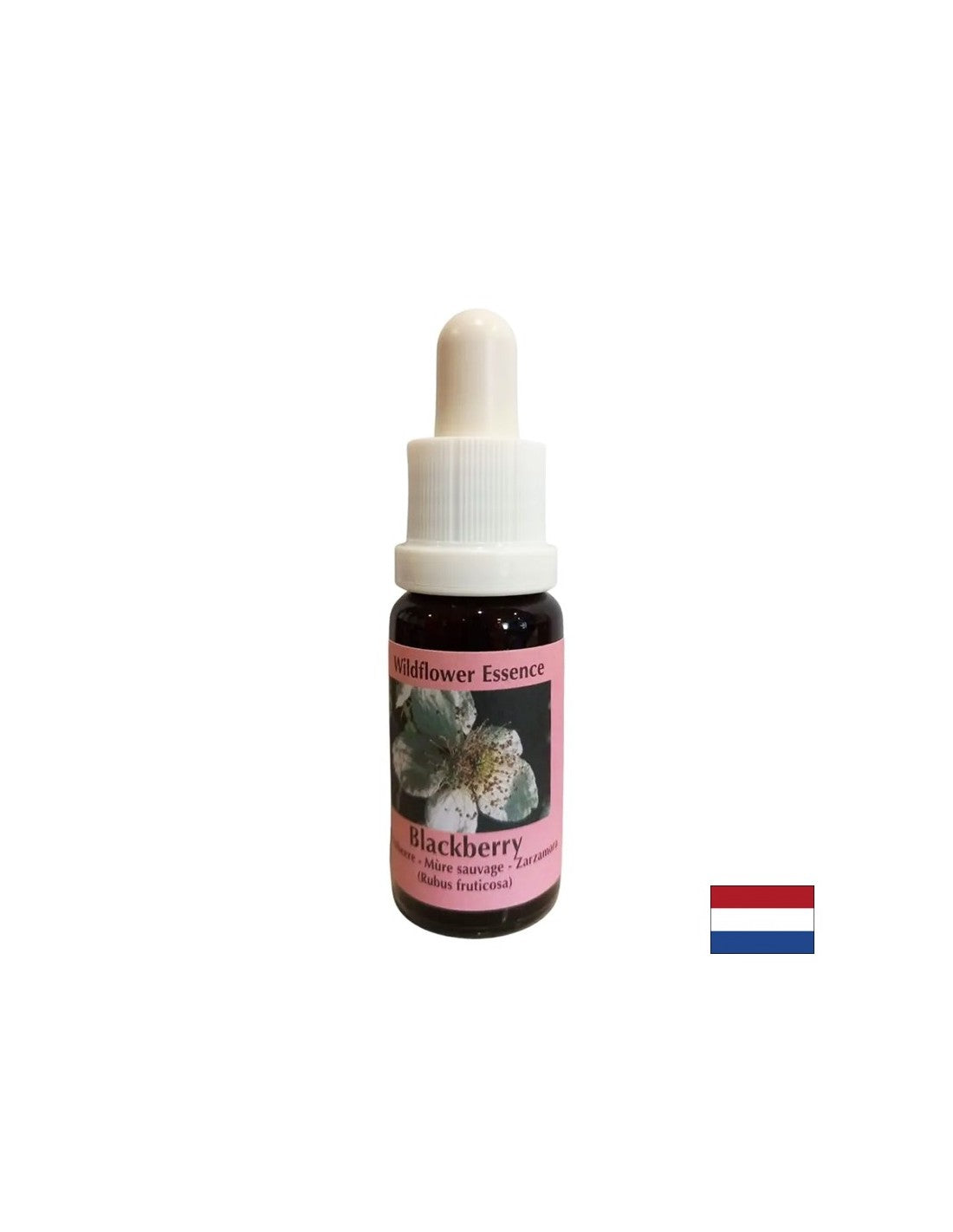 Stimuliert die Vitalität und aktiviert die Kreativität – Brombeeressenz Nr. 22, Tropfen 15 ml