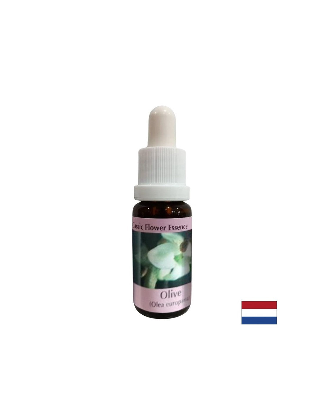 Stellt die Kraft wieder her – Olivenessenz Nr. 23, Tropfen 15 ml