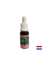 Vereint die Energiezentren, für eine gute Verdauung – Basilikum-Essenz Nr. 23, Tropfen 15 ml