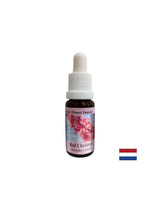 Wenn Sie sich Sorgen um andere machen – Rote Rosskastanien-Essenz Nr. 25, Tropfen 15 ml