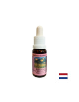Fördert das Selbstwertgefühl – Buttercup Essence Nr. 26, Tropfen 15 ml