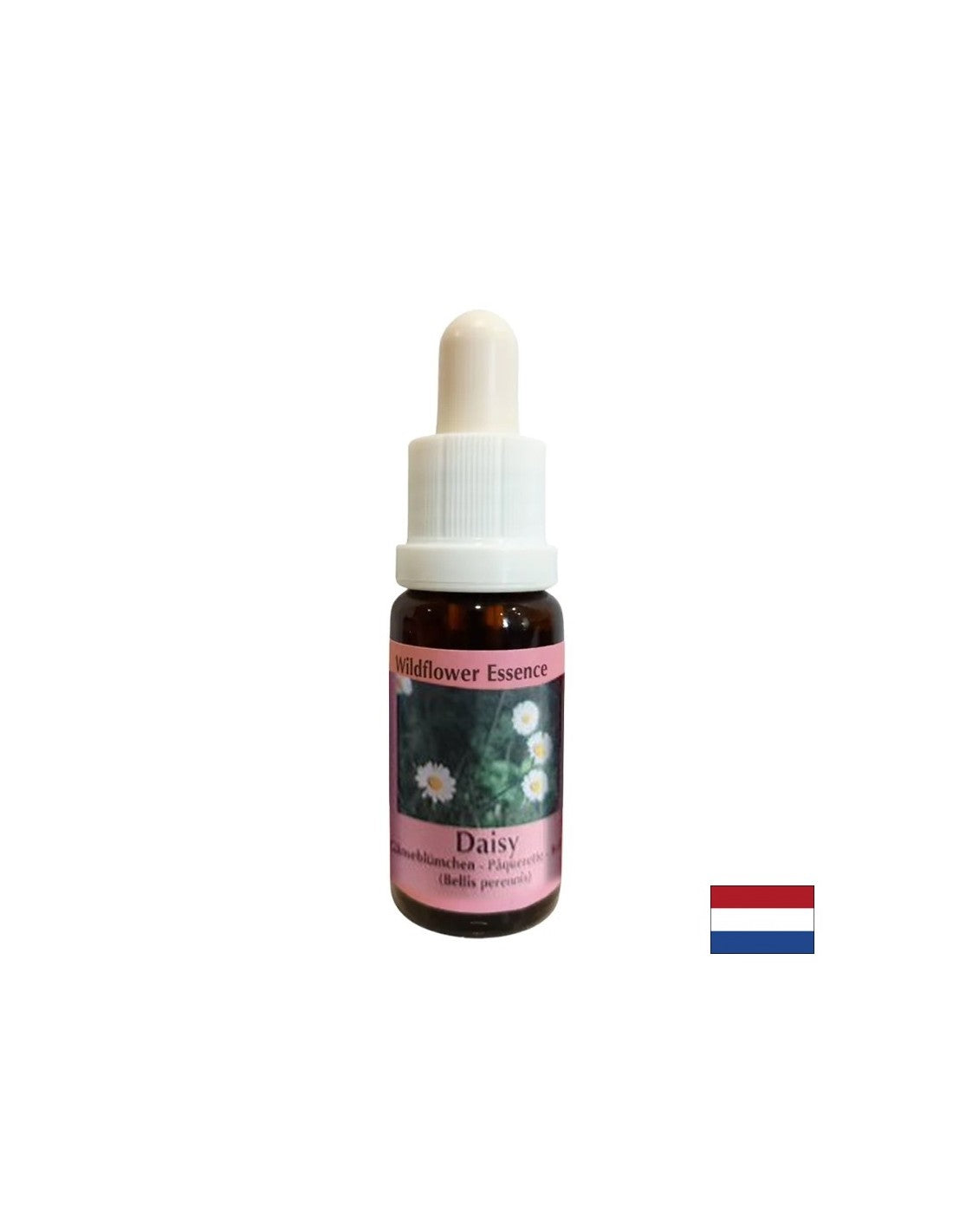 Erhöht das Gedächtnis und die Lernfähigkeit – Common Daisy Essence Nr. 26, Tropfen 15 ml