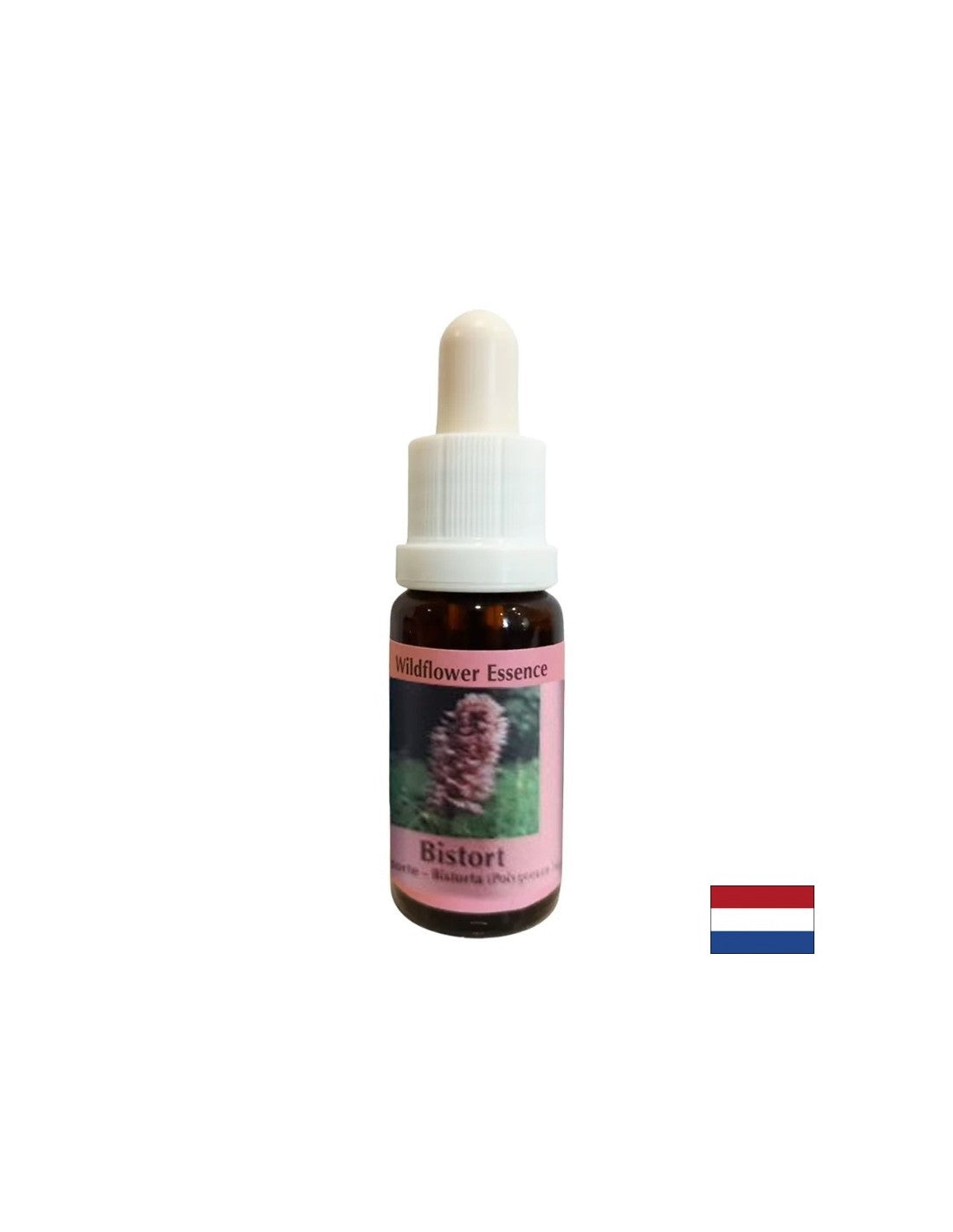 Unterstützt Konzentration und Konzentration – Bloodroot Essence Nr. 28, Tropfen 15 ml