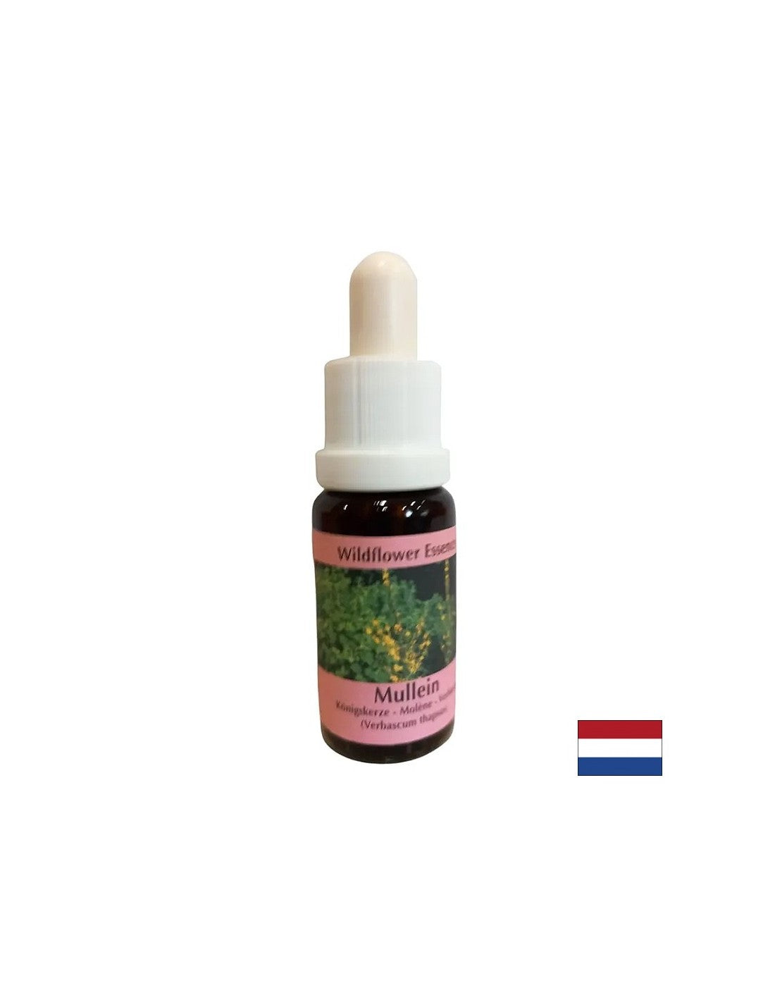 Unterstützt Teamwork und Kreativität – Lopen Essence Nr. 29, Tropfen 15 ml