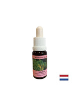 Unterstützt Teamwork und Kreativität – Lopen Essence Nr. 29, Tropfen 15 ml