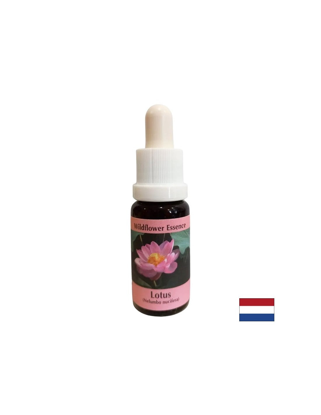 Harmonisiert die Chakren und öffnet den Geist – Essenz Indischer Lotus Nr. 30, Tropfen 15 ml