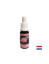 Harmonisiert die Chakren und öffnet den Geist – Essenz Indischer Lotus Nr. 30, Tropfen 15 ml