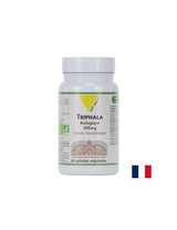 Gute Verdauung und Entgiftung – Triphala BIO, 300 mg x 60 Kapseln