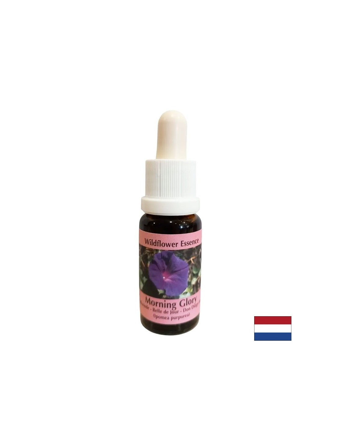 Beruhigt Ängste und beseitigt negative Gewohnheiten – Gramophone Essence Nr. 34, Tropfen 15 ml