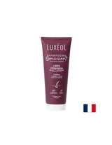Shampoo mit 35 % Frucht- und Geschmacksgehalt, 200 ml