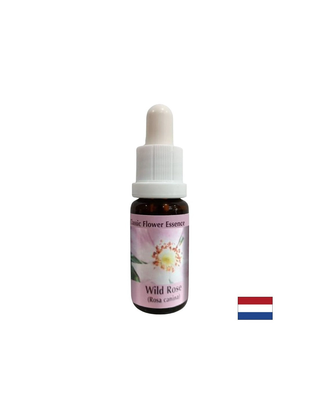 Steigert Aktivität und Motivation – Hagebuttenessenz Nr. 37, Tropfen 15 ml