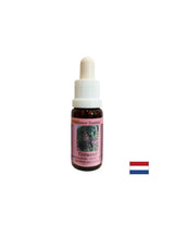 Hilft negative Erinnerungen zu vertreiben – Essence Narrow-leaved Willow Nr. 37, Tropfen 15 ml