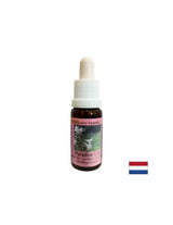 Reinigt und unterstützt Ernährungsumstellungen – White Lily Essence Nr. 38, Tropfen 15 ml