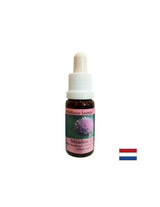 Regt Willenskraft und Stoffwechsel an – Zwiebelessenz Nr. 39, Tropfen 15 ml
