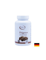 Immunität – Umbrella Polyporus, 420 mg x 180 Kapseln