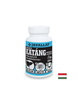 Galle und Leber – Chicorée (Kraut und Wurzel), 450 mg x 60 Kapseln