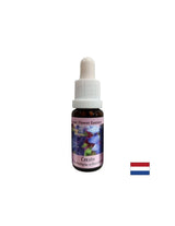 Stimuliert Intuition und Entscheidungsfindung – Essence Ceratosigma (Wachs) Nr. 5, Tropfen 15 ml
