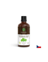 Für Blutkreislauf, Venensystem und Gehirn – Gotu Kola, 50 ml Tinktur