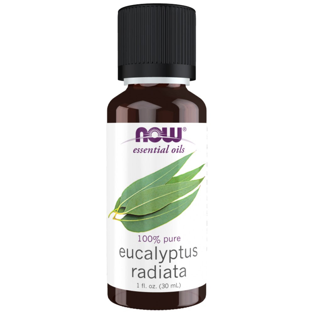 Eukalyptus radiata Öl | 100% reines Eukalyptus radiata - 30 ml